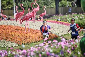 BIB: 
                            <button type="button" onclick="openModal(27793310)" class="btn btn-primary btn-sm float-right btn-popup" data-toggle="modal" data-target=".modal-high-quality">
                        <i class="fas fa-shopping-cart"></i> Add to Cart
                    </button>
                                            <button type="button" onclick="isThisMe(27793310, true)" class="btn btn-success btn-sm float-right btn-popup btn-isme hidden" data-toggle="tooltip" data-placement="bottom" title="นี่คือรูปของคุณใช่ไหม คลิกที่นี่เพื่อเอาเข้าอัลบั้ม">
                        <i class="fas fa-plus"></i> Add to album
                    </button>
                    <button type="button" onclick="isThisMe(27793310, false)" class="btn btn-warning btn-sm float-right btn-popup btn-isnotme hidden">
                        <i class="fas fa-ban"></i> Remove from album
                    </button>